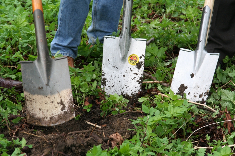 pepiniere-SIGALE-min_work-lawn-flower-tool-green-backyard-1103633-pxhere.com